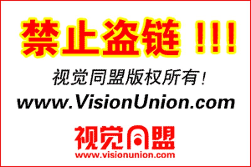 活动执行师的岗位描述:工作职责与核心能力